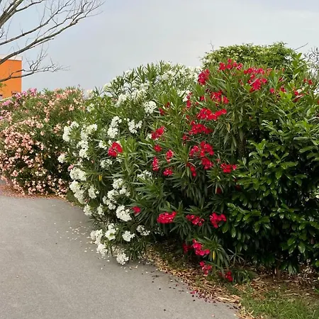 Angelo ゲストハウス 3*