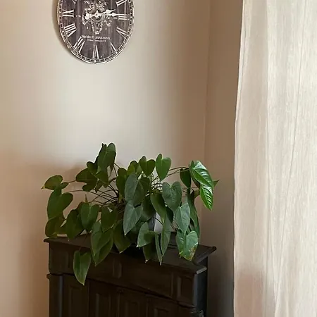 ゲストハウス Angelo コペル