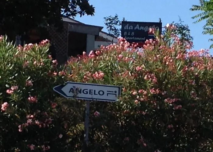 Πανσιόν Angelo