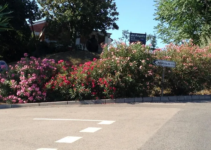 Angelo Πανσιόν