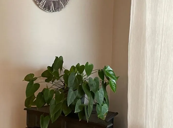 Πανσιόν Angelo Κόπερ